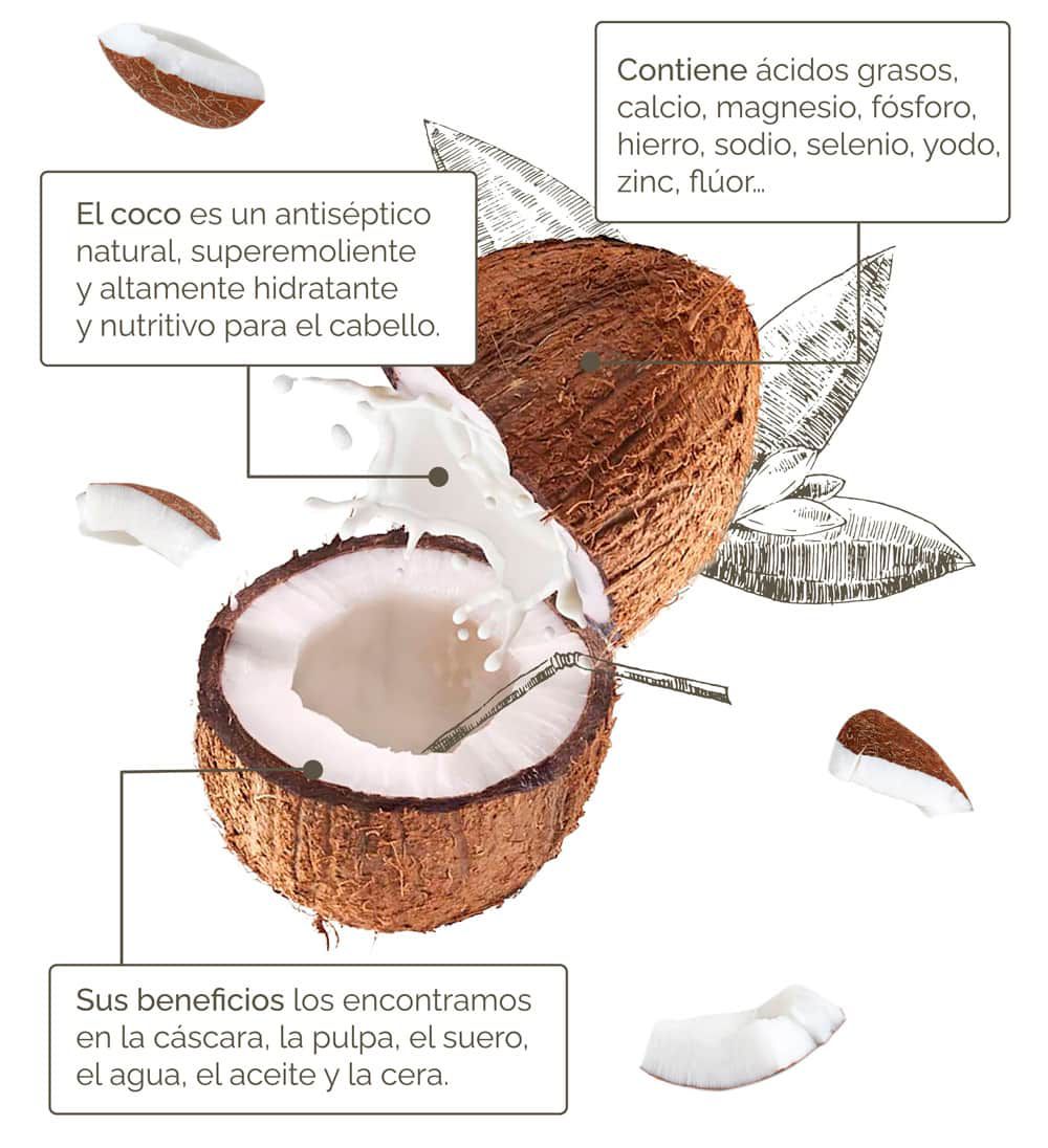 Beneficios del Coco para tu pelo